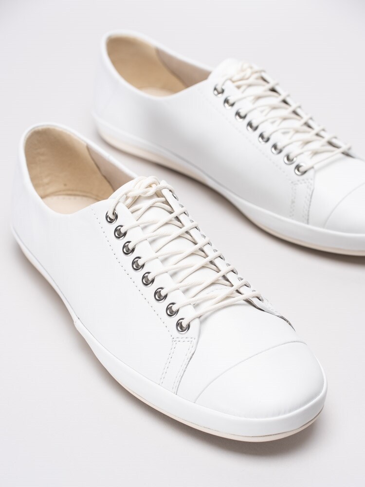 vagabond sneakers rose