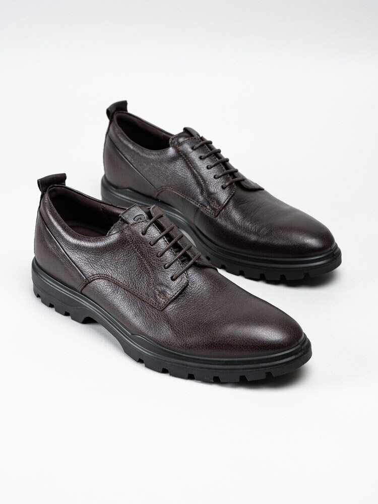 ecco citytray