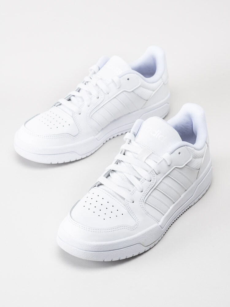 adidas entrap low top sneaker