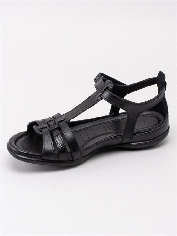ecco flash black