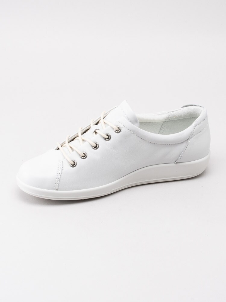 eastland saddle oxfords