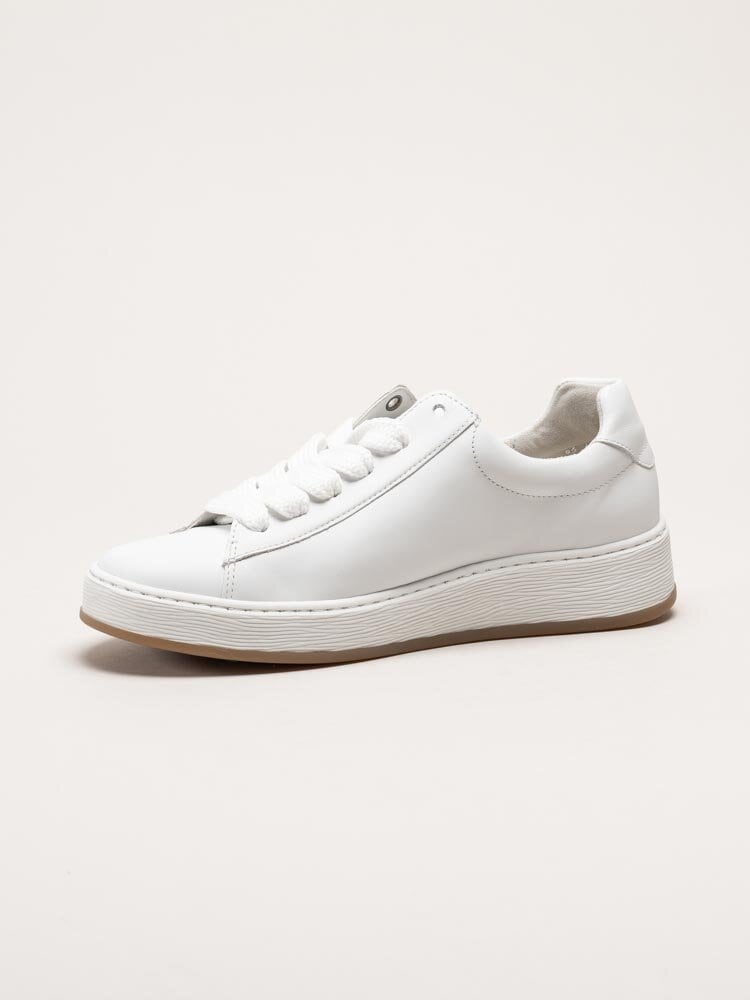 Gabor - Vita sneakers i skinn