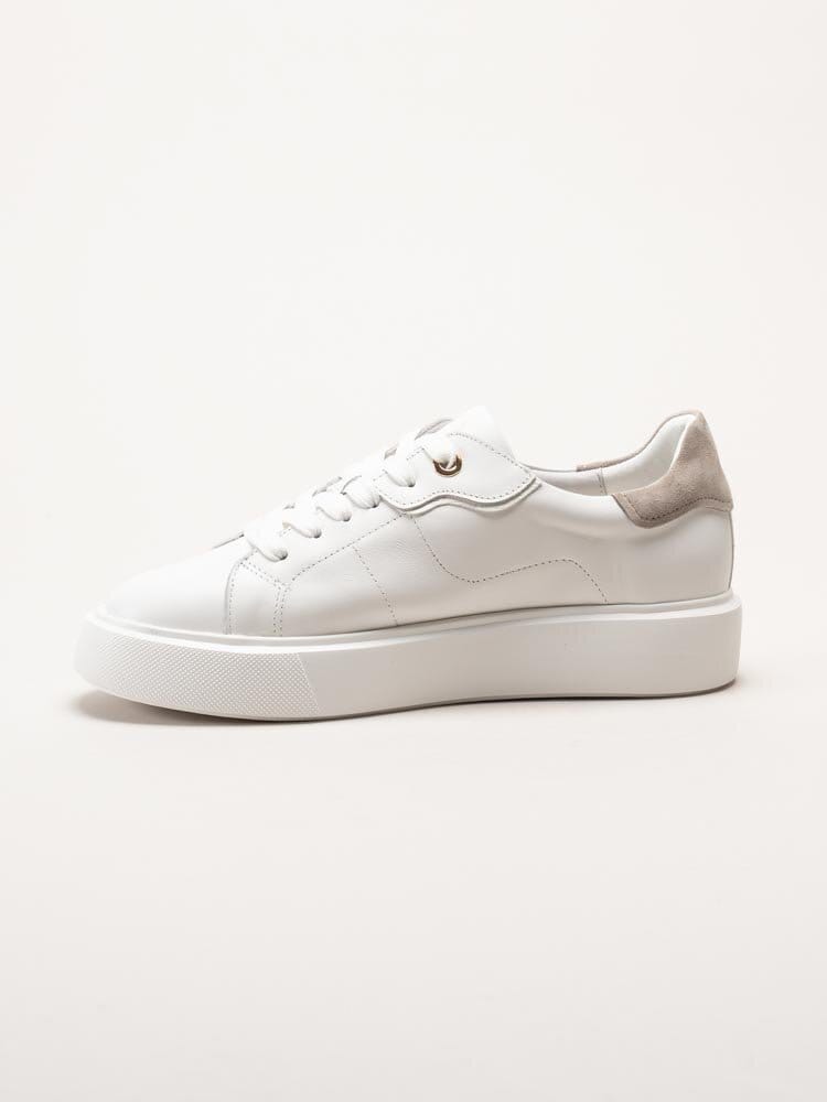 Dasia - Ardisia - Vita sneakers i skinn