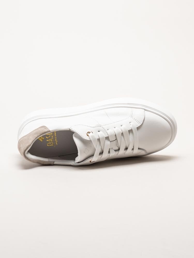 Dasia - Ardisia - Vita sneakers i skinn