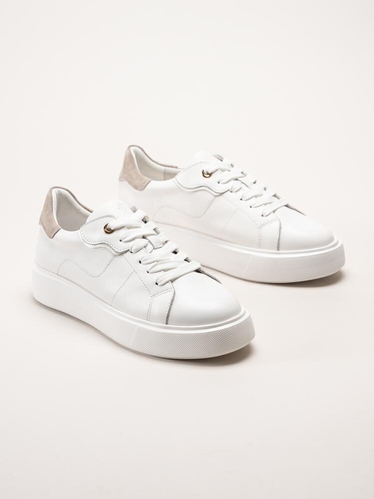 Dasia - Ardisia - Vita sneakers i skinn