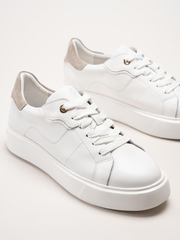 Dasia - Ardisia - Vita sneakers i skinn