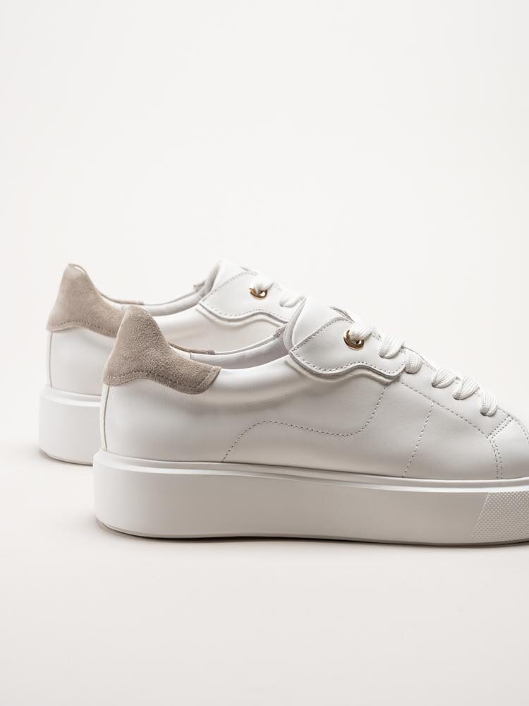 Dasia - Ardisia - Vita sneakers i skinn