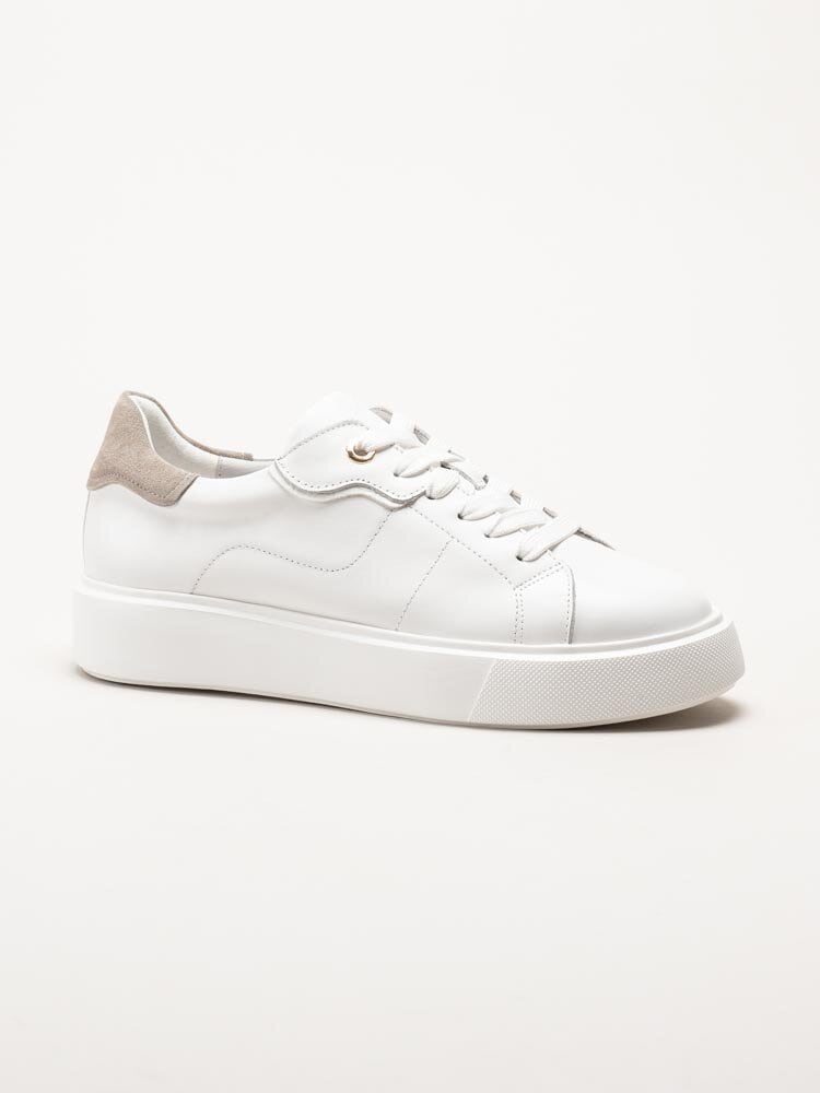 Dasia - Ardisia - Vita sneakers i skinn