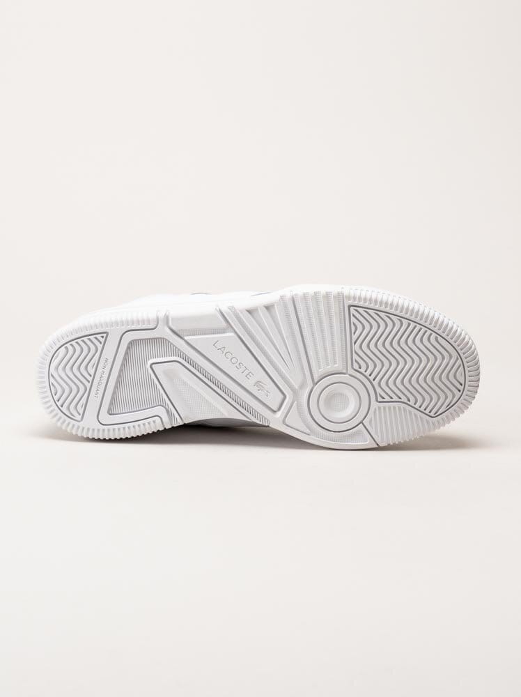 Lacoste - Lineshot - Vita sneakers i skinn