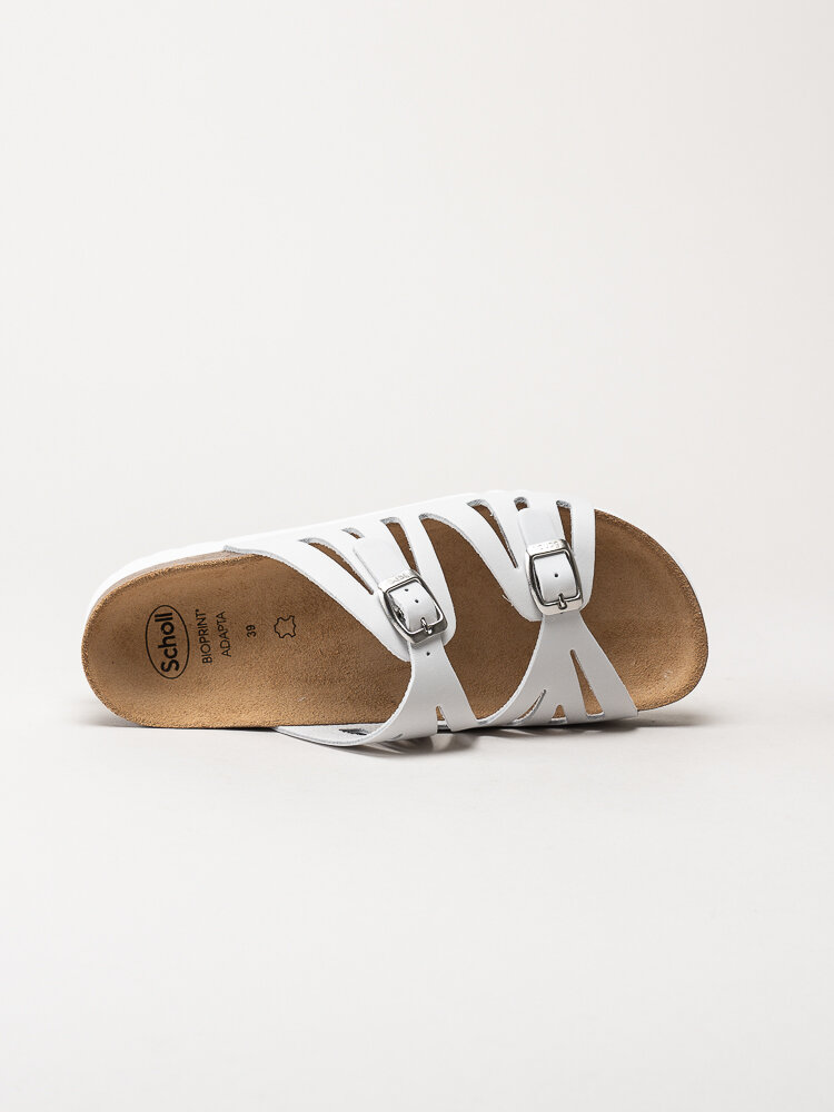 Scholl - Ystad - Off white slip in sandaler